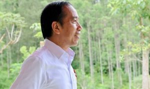 Presiden RI ke-7 Joko Widodo, (foto : dok pribadi)