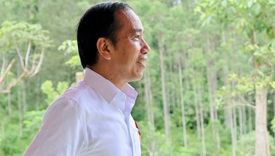 Presiden RI ke-7 Joko Widodo, (foto : dok pribadi)