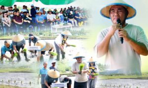 Gubernur Yulius Selvanus saat tanam padi bersama petani di Desa Solog, Kabupaten Bolaang Mongondow, Jumat (23/1/2026). (foto : istimewa)