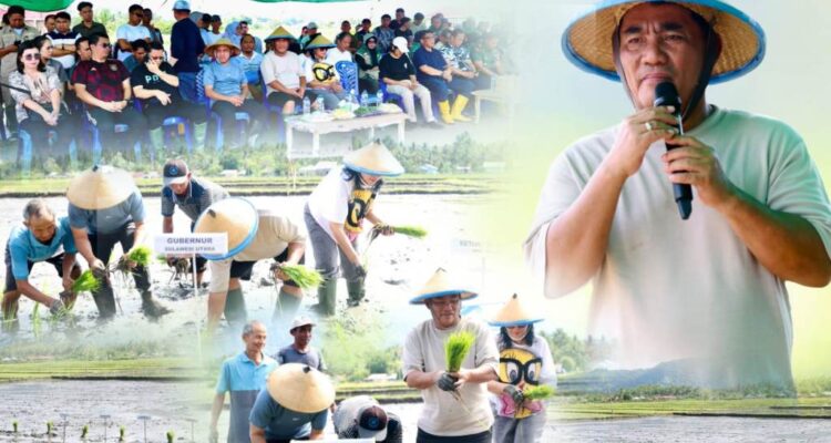 Gubernur Yulius Selvanus saat tanam padi bersama petani di Desa Solog, Kabupaten Bolaang Mongondow, Jumat (23/1/2026). (foto : istimewa)