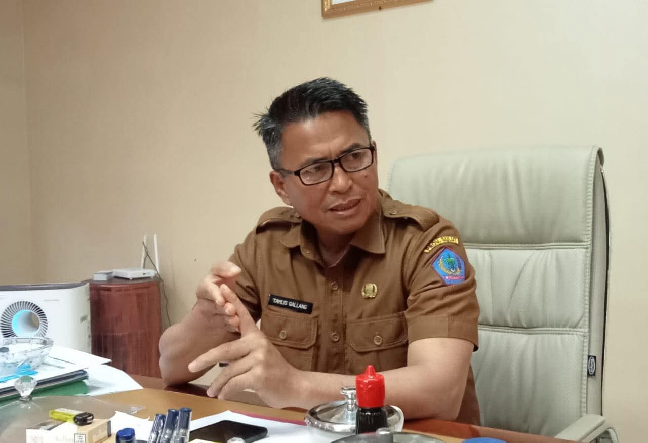 Tahlis Galang (foto : ist)