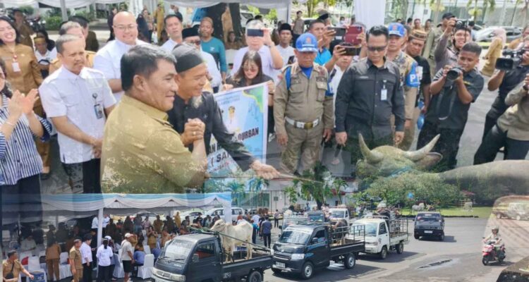 Gubernur YSK saat menyerahkan hewan qurban, Senin (25/5/2026), (foto : RM, grafis : mediaalternatif)