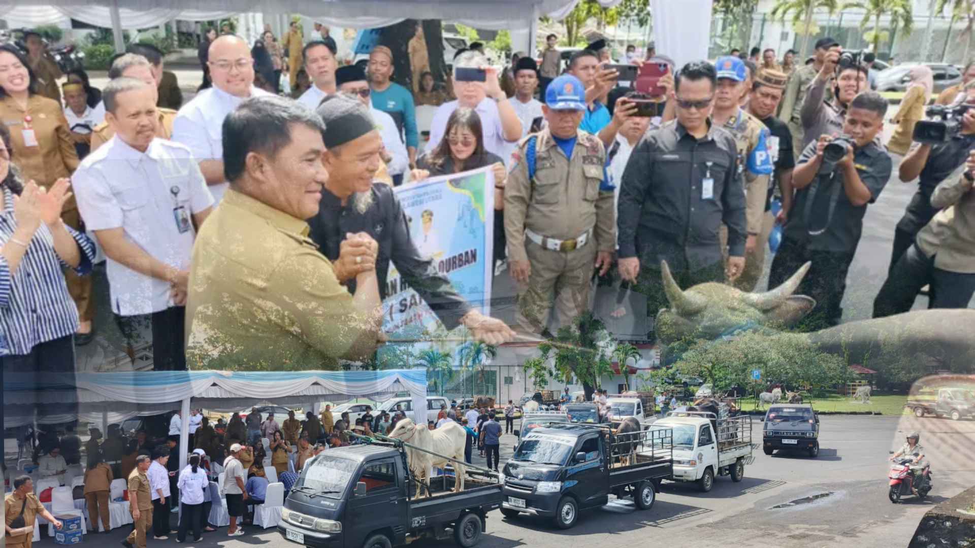 Gubernur YSK saat menyerahkan hewan qurban, Senin (25/5/2026), (foto : RM, grafis : mediaalternatif)