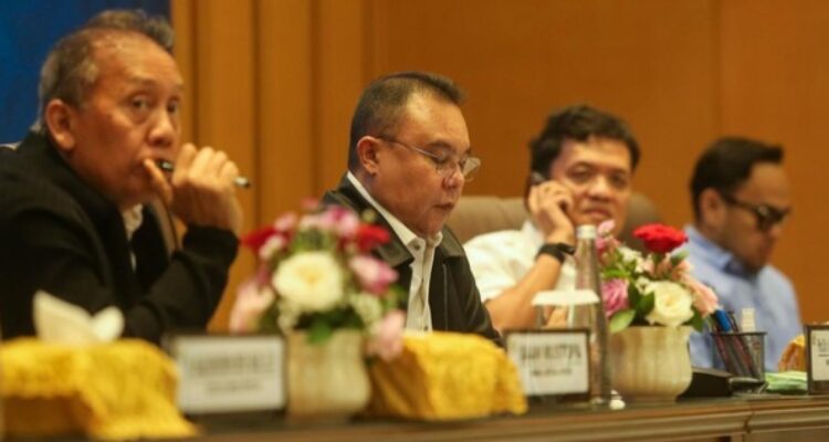 Dasco (foto : dok detik)