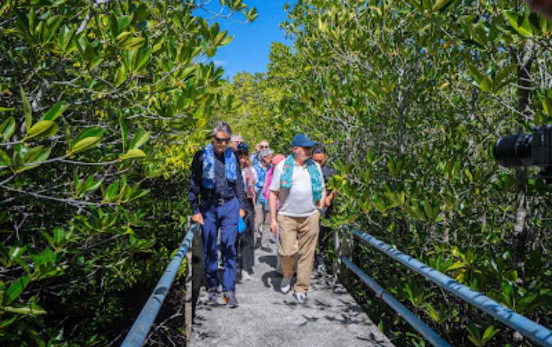 Delegasi Eropa mengunjungi Hutan Mangrove di Desa Bahoi, KabupatenMinahasa Utara untuk meninjau hasil program kerja sama, sekaligus melihat langsung peran mangrove sebagai pelindung pesisir dan penopang kehidupan masyarakat setempat.