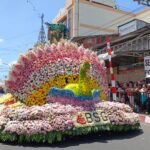Float Bank SulutGo (BSG) berbentuk burung merak raksasa dengan perpaduan warna merah muda, putih, ungu, kuning dan hijau muda melintas di depan tamu VIP dalam Tournament of Flowers (ToF) TIFF 2026 di pusat Kota Tomohon, Sabtu 8/8/2026.(dok.ist)