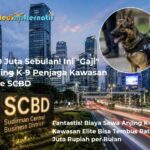 300 Juta Sebulan! Ini "Gaji" Anjing K-9 Penjaga Kawasan Elite SCBD. (foto.ilustrasi ai)
