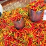 Harga Konsumen Ditargetkan Maksimal Rp57 Ribu. Insert Gubernur YSK. (dok.istimewa)